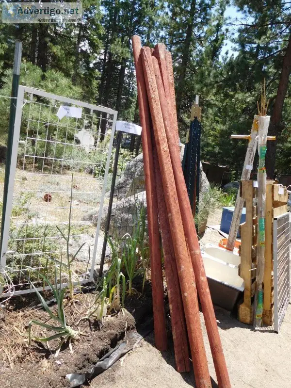 3&quotX3" RED POSTS FOR SALE
