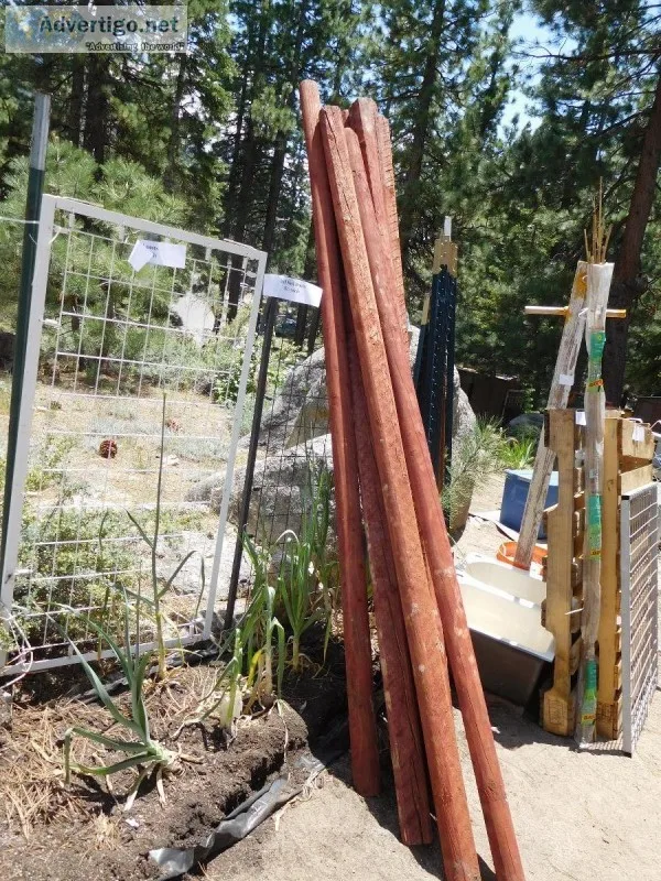 3&quotX3&quot RED POSTS FOR SALE