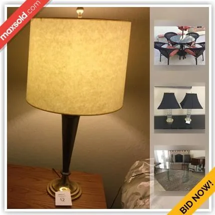 Scottsdale Downsizing Online Auction - East San Bernardo Drive