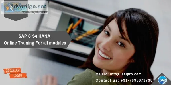 S/4 hana online training | lael pro solu