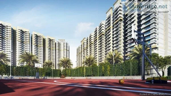 Get your 3 BHK with Ace City in Noida Extension  9250677000