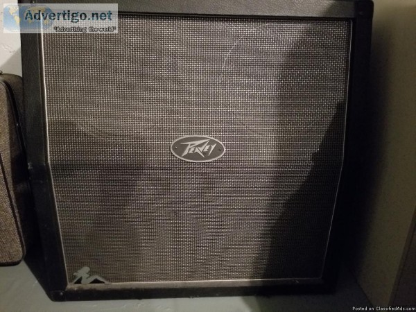 PEAVEY GUITAR AMP CABINET