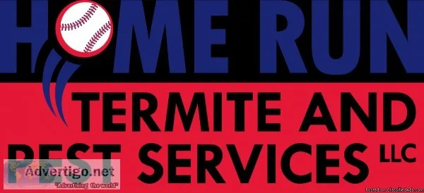 Real Estate Termite inspection WDI