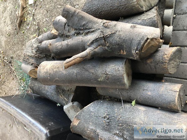 Free Wood