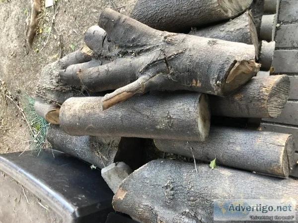 Free Wood