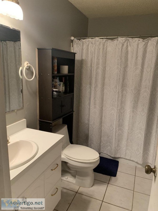 Roommate search Cozy ocala home