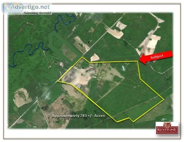 Hinson Tract-783 Acre Farm Tract-Nichols SC- For Sale
