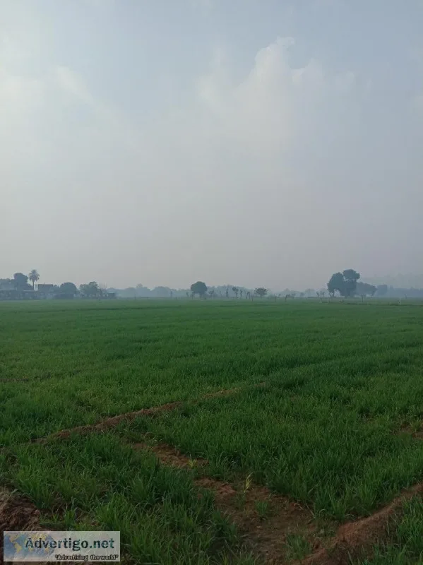 100 acres for warehousing in tauru haryana