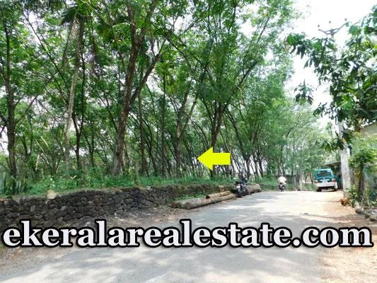 residential Plot Sale at Uzhamalakkal