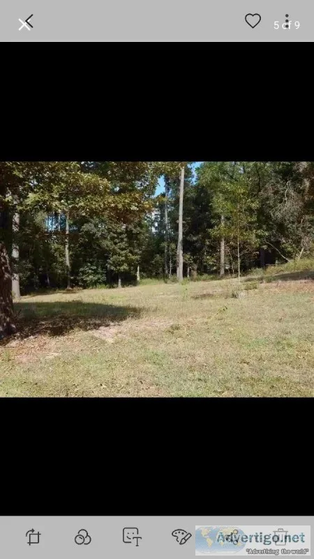 Land