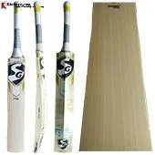SG Sunny Gold English Willow Cricket Bat Standard Size Free oili