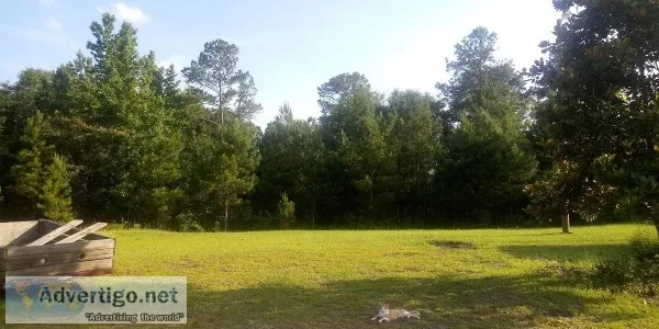 .75 acre of Land