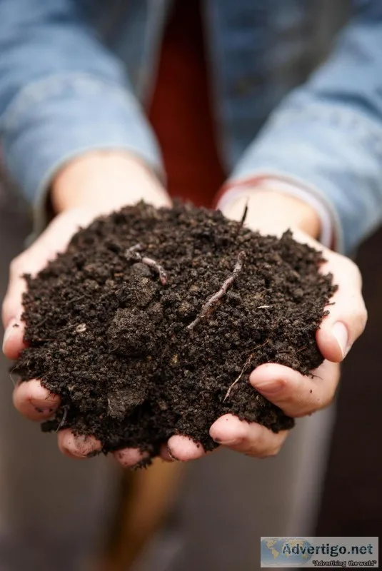 Looking for compost