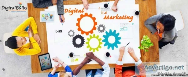 SEO in USA  Digital Bulbs