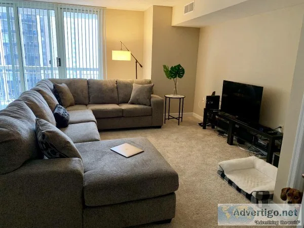 Looking for roommate for 2BD2BA in Pentagon City