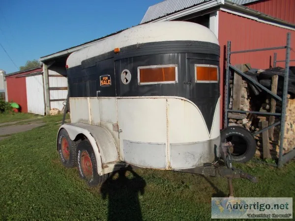 King Horse Trailer