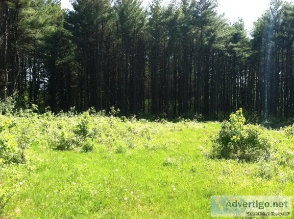 6.9 acres land