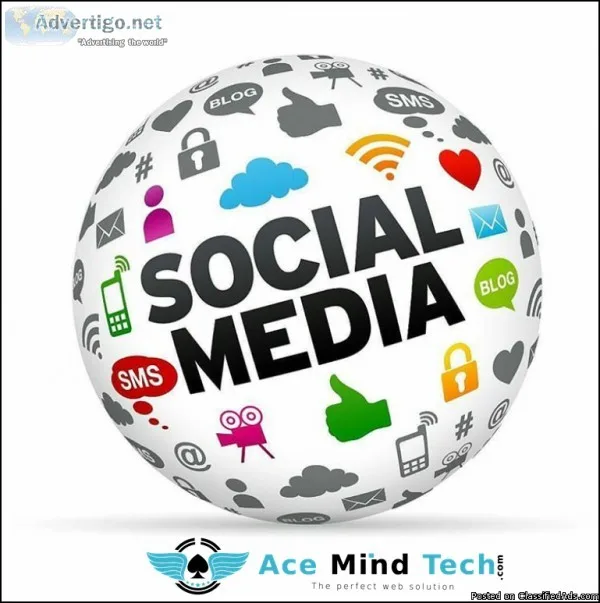 social media marketing services in delhi