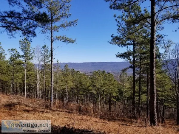 10.05 Acres