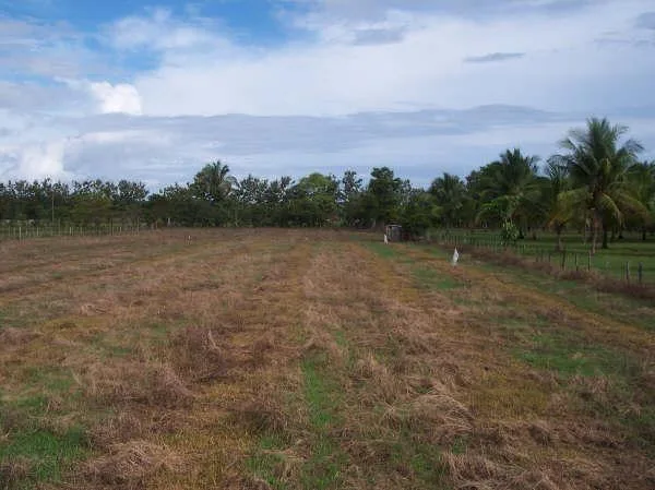 Costa Rica Property Owner Selling