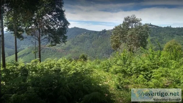 DTCP approved Residential Plots for sale at Kodaikanal