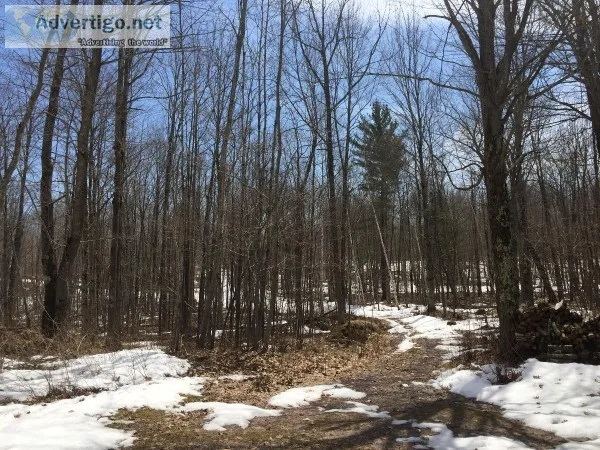 150 Acres Hunting Land Sawyer County Wi