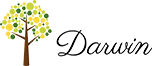 Montessori School in Chennai