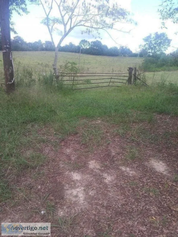 18&quotAcres with barn For Sale