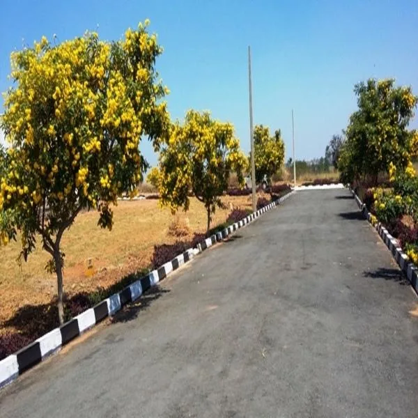plot size 304060and5090