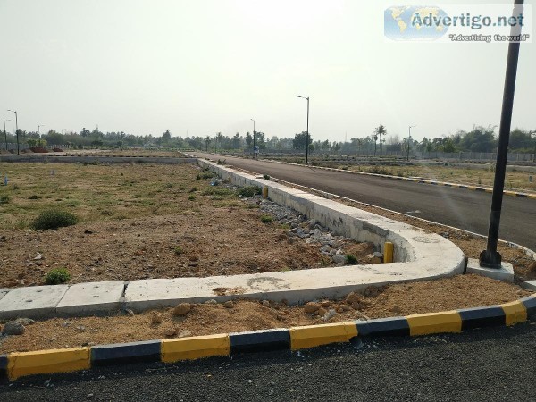On road plots  OMR