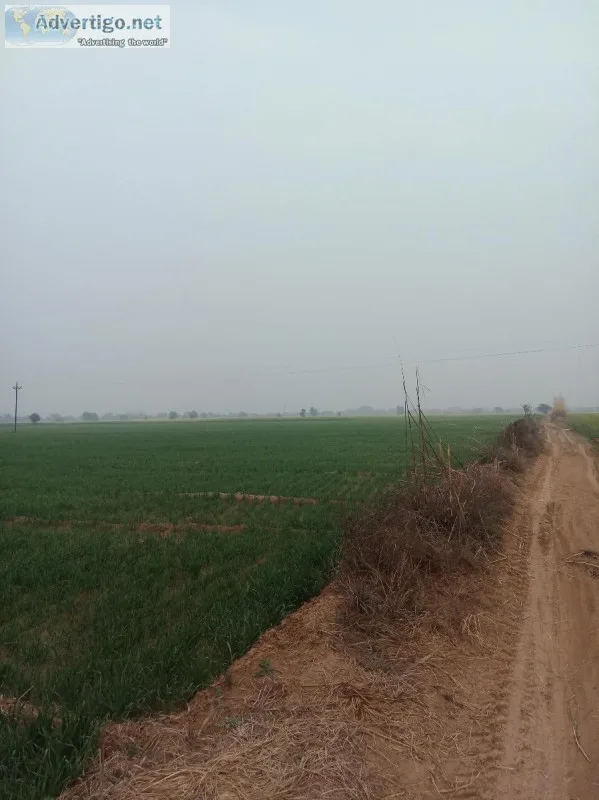 150 acres NH 8 close to delhi