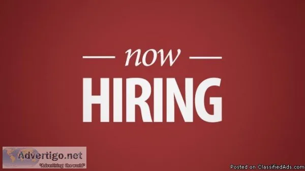 Sales Agent-Customer Service