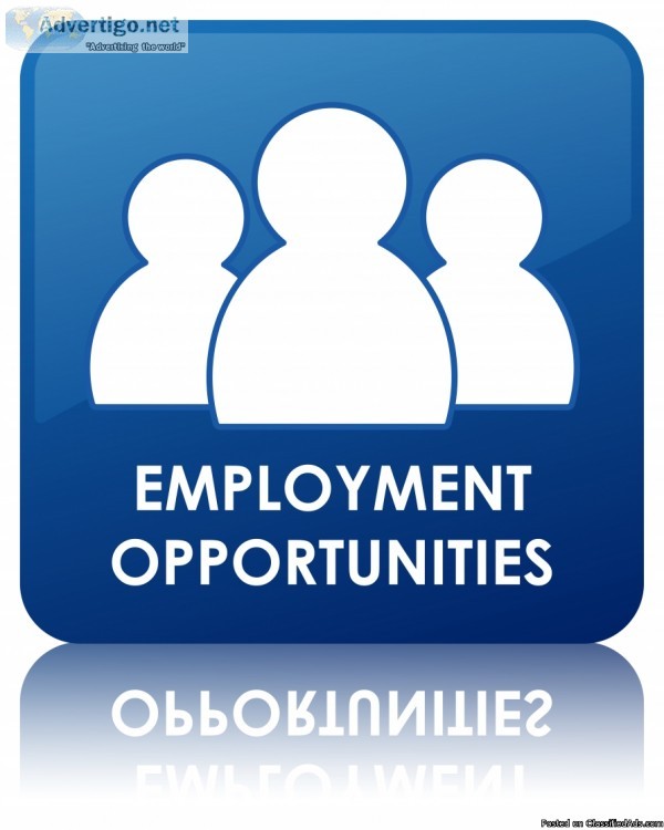 Looking for people to work