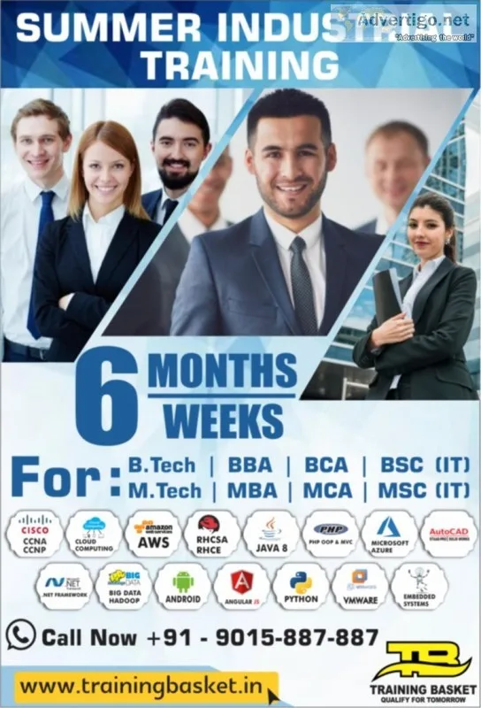 Summer Training Institute In NoidaDelhi-Training Basket