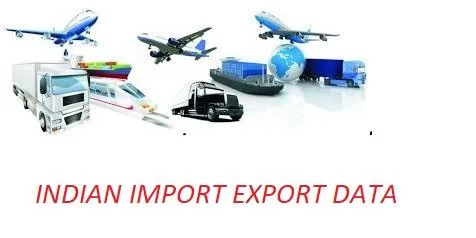 birgit bode Importer Data in a few Minutes