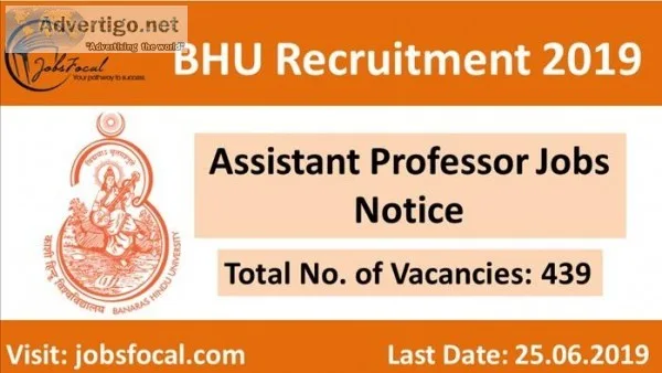 BHU Recruitment 2019 -20 (439) Assistant Professor Jobs Notice