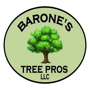 Barone s Tree Pros