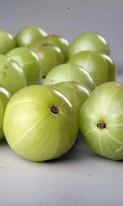 Amla Fruit Extract  Arjunanatural.com