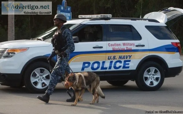 Military Police