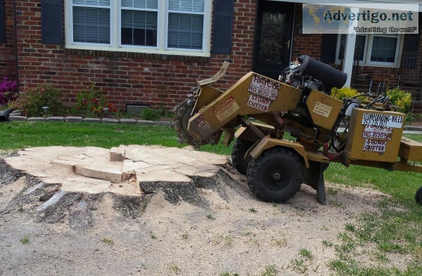 Stump Grinding