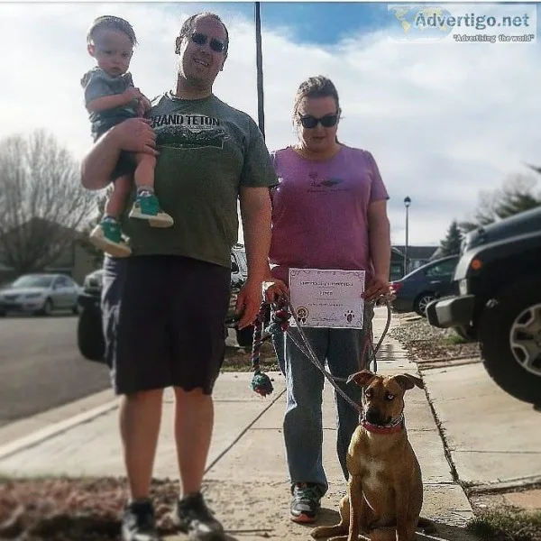 cert. Dog trainer  K-9 behavior specialist
