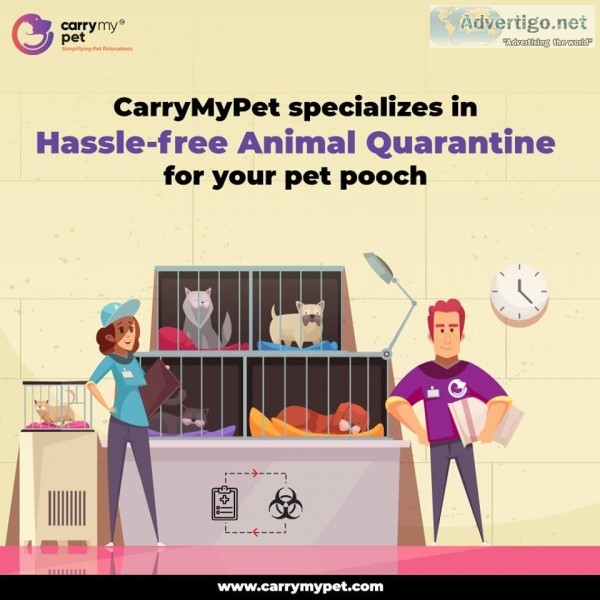 Looking for Pet Transportation in India &ndash Carrymypet