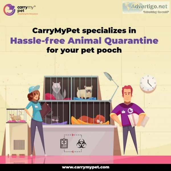 Looking for Pet Transportation in India &ndash Carrymypet