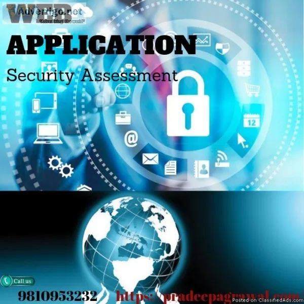 Web Application Security Assessment