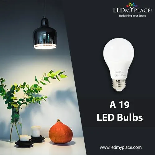 Buy Cheapest A19 LED Bulbs at Discounted Sale 