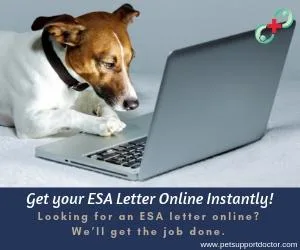 Get your ESA letter online instantly