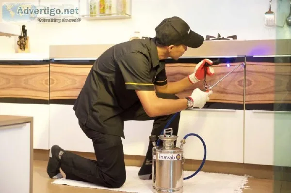 providing best pest control services in Delhi