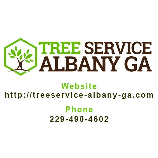 Tree Service Albany GA