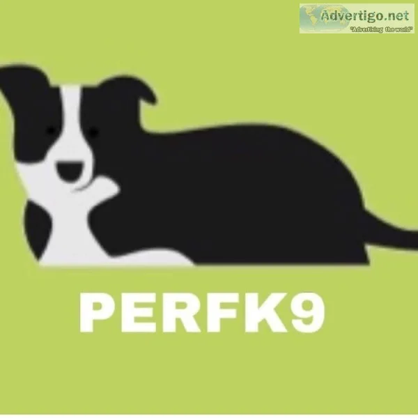 Dog Trainerpet sitterDog Walker