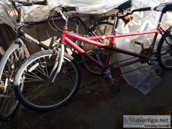 Custom Tandem roadmountain bike